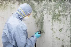 Mold Odor Removal Services in Nicoma Park, OK